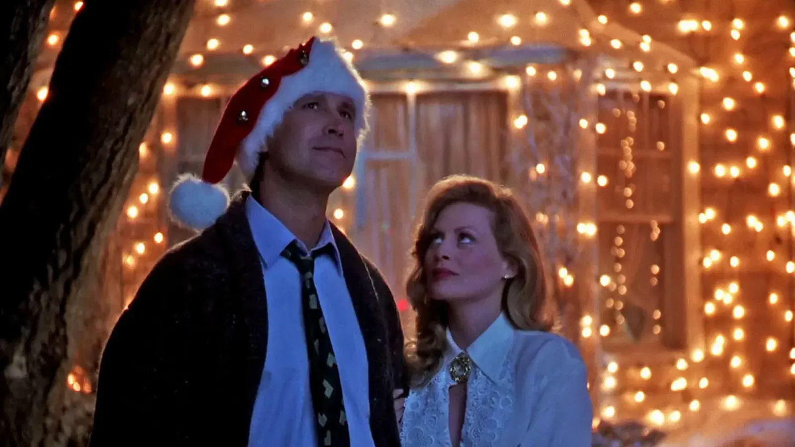 National Lampoon's Christmas Vacation Cast Then and Now