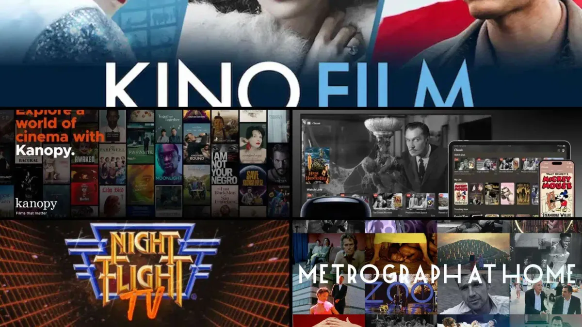 Movie Streaming Platforms You May Not Know About in 2025