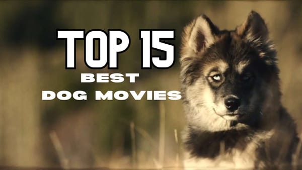 15 Best Dog Movies: The Perfect Family Viewing!