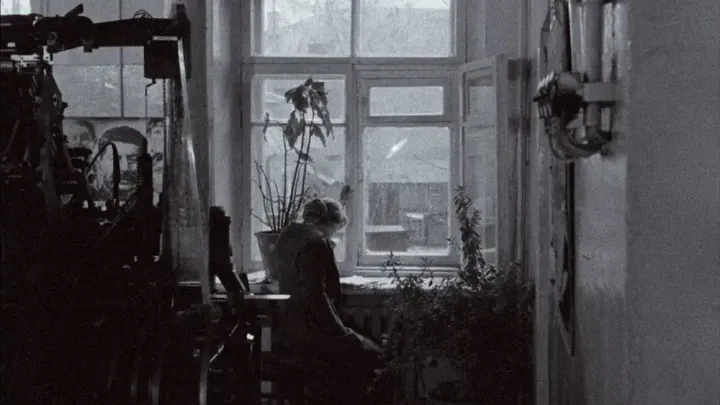 20 Classic 70s Films That Defined a Decade of Grit and Paranoia